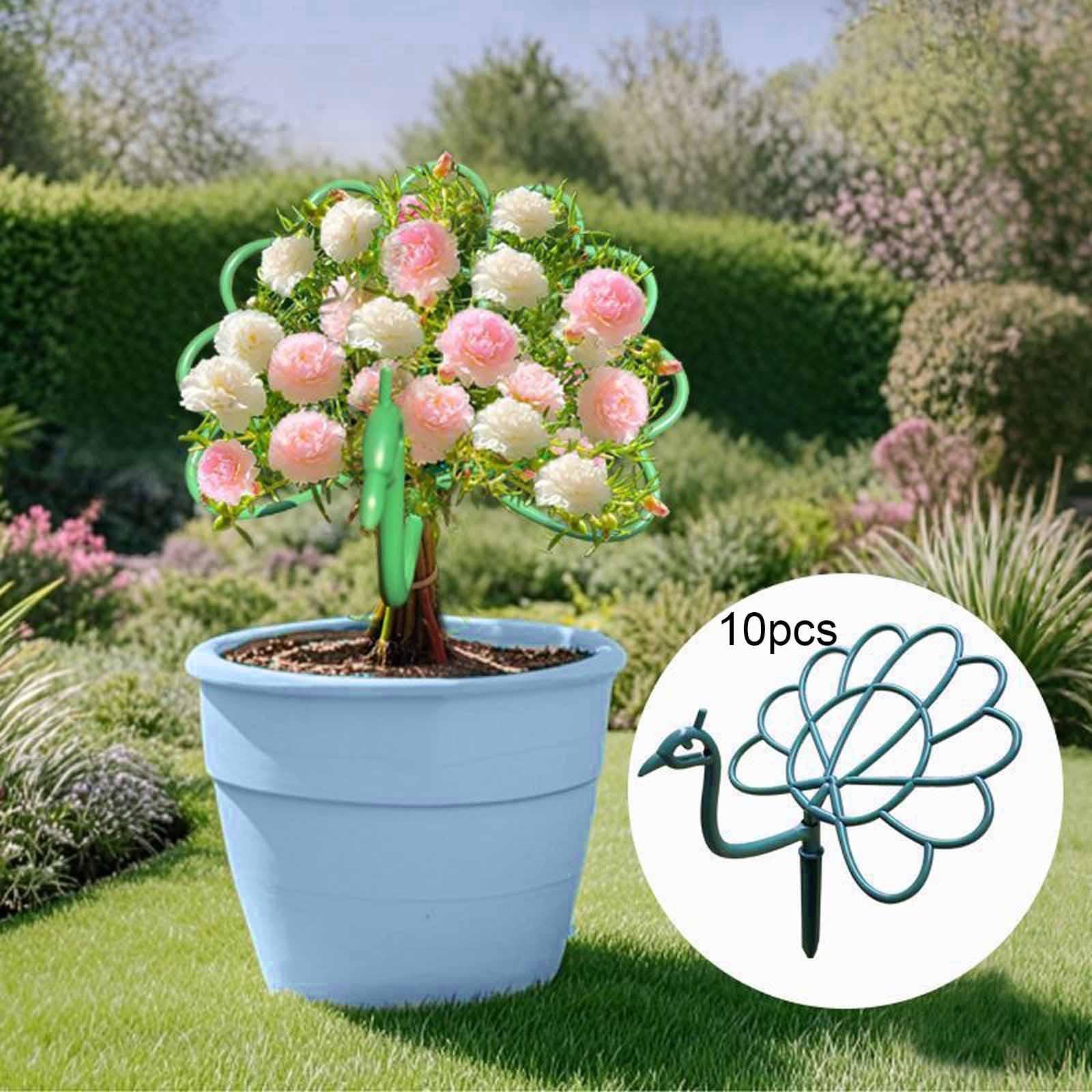 STYLEHEAVEN 10x Garden Plant Holder Support Rings Park Lawn